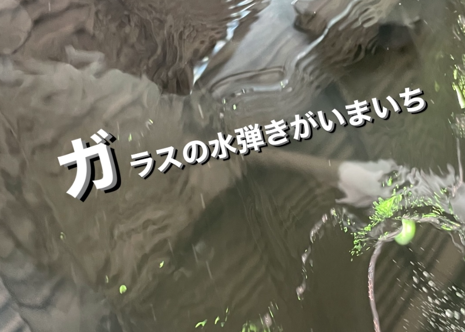 黄砂・花粉の季節到来。今こそ愛車のケアを